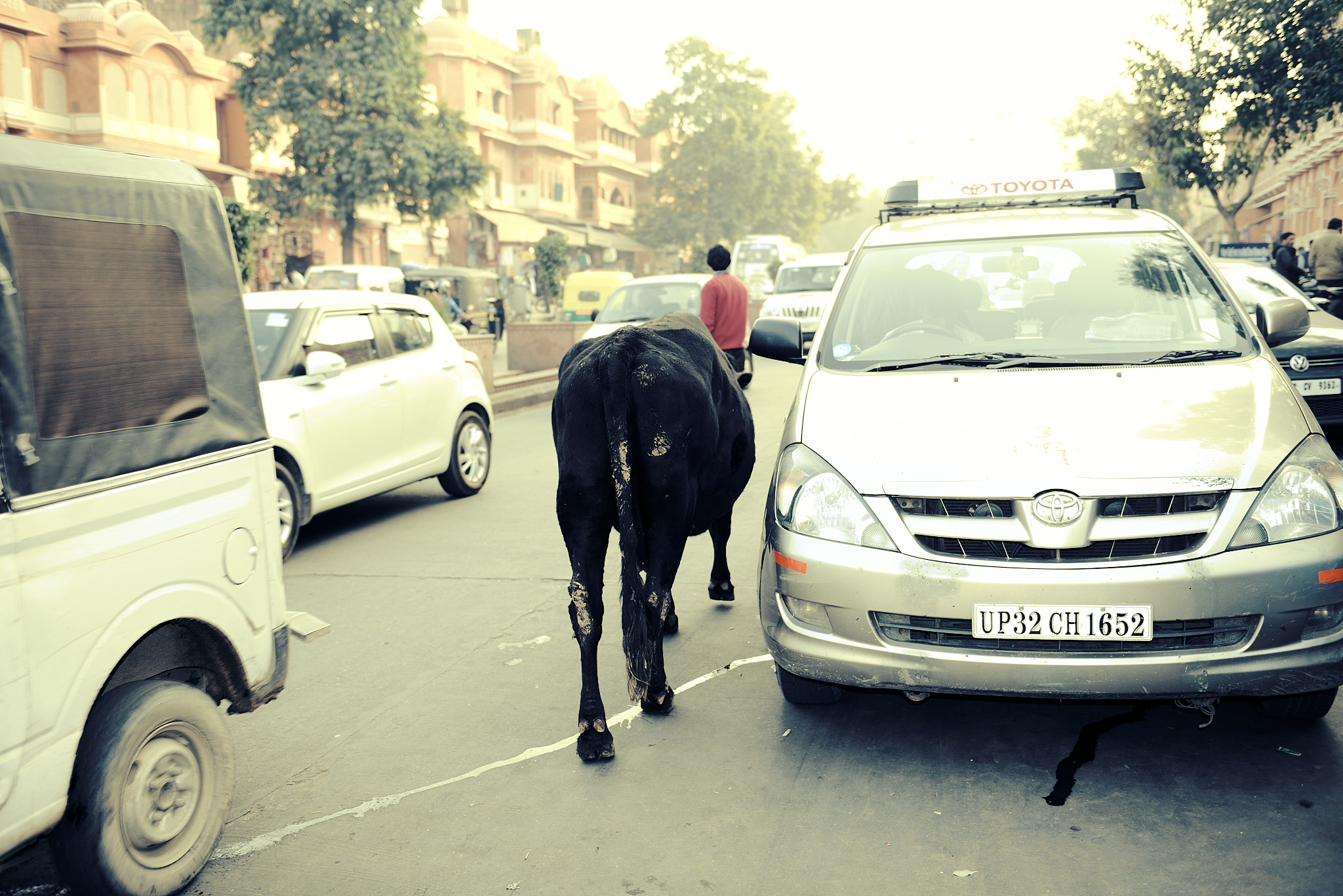 20140105 447 자이푸르 하와 마할(바람의 궁전)